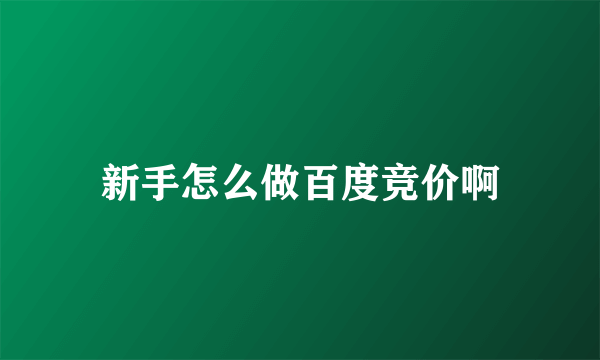 新手怎么做百度竞价啊