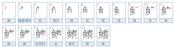 鳍 怎么读 什么意思