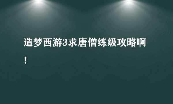 造梦西游3求唐僧练级攻略啊！