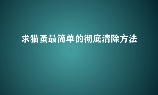 求猫蚤最简单的彻底清除方法