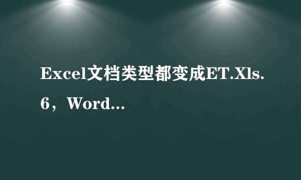 Excel文档类型都变成ET.Xls.6，Word的就都正常，为啥呀