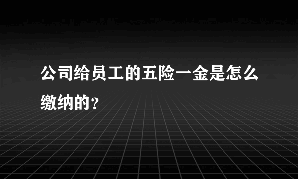 公司给员工的五险一金是怎么缴纳的？