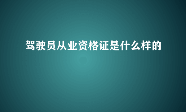 驾驶员从业资格证是什么样的