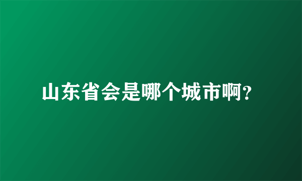 山东省会是哪个城市啊？