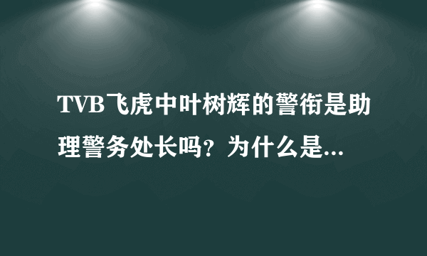 TVB飞虎中叶树辉的警衔是助理警务处长吗？为什么是展瀚韬的跟班？