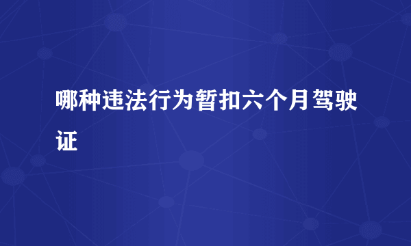 哪种违法行为暂扣六个月驾驶证