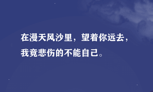 在漫天风沙里，望着你远去，我竟悲伤的不能自己。