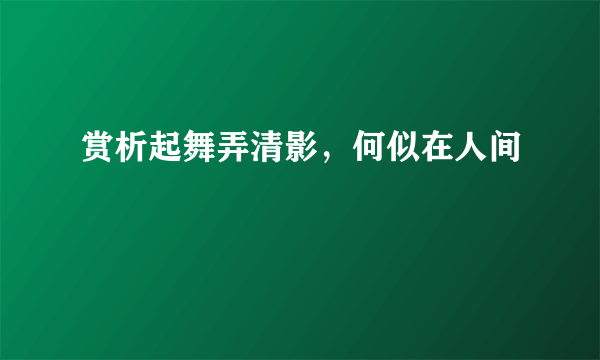 赏析起舞弄清影，何似在人间