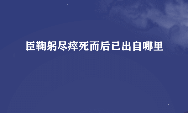 臣鞠躬尽瘁死而后已出自哪里