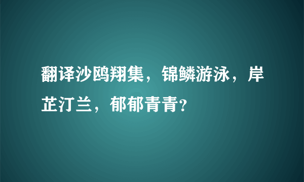 翻译沙鸥翔集，锦鳞游泳，岸芷汀兰，郁郁青青？