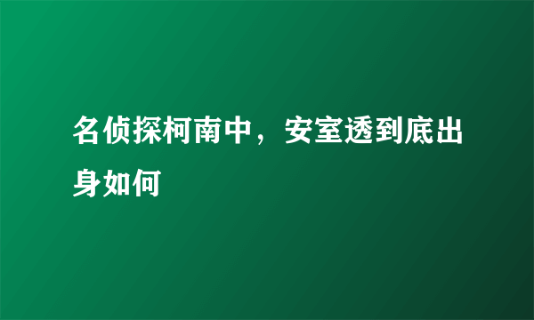 名侦探柯南中，安室透到底出身如何