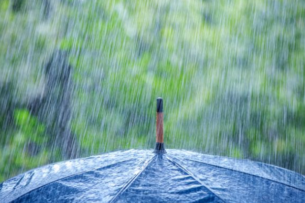 秋天的雨表现了秋雨的什么特点