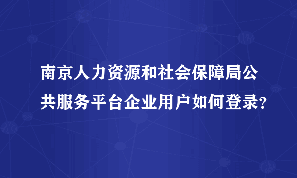 南京人力资源和社会保障局公共服务平台企业用户如何登录？