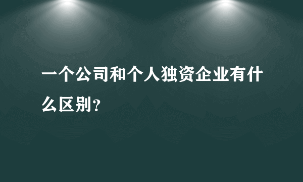 一个公司和个人独资企业有什么区别？