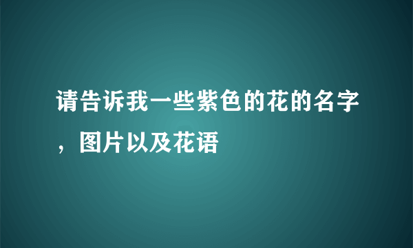 请告诉我一些紫色的花的名字，图片以及花语