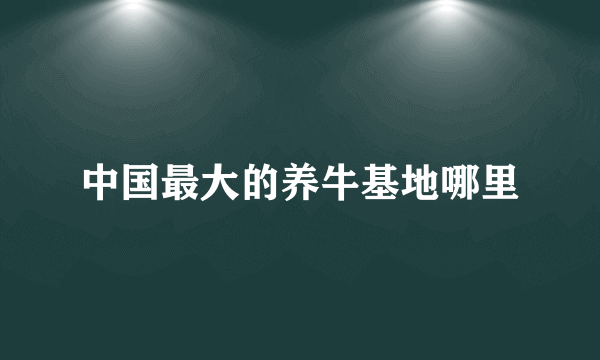 中国最大的养牛基地哪里