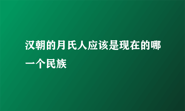 汉朝的月氏人应该是现在的哪一个民族