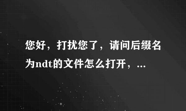 您好，打扰您了，请问后缀名为ndt的文件怎么打开，谢谢了！