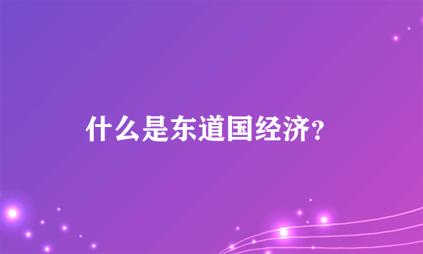 什么是东道国经济？