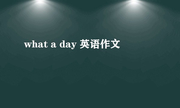 what a day 英语作文