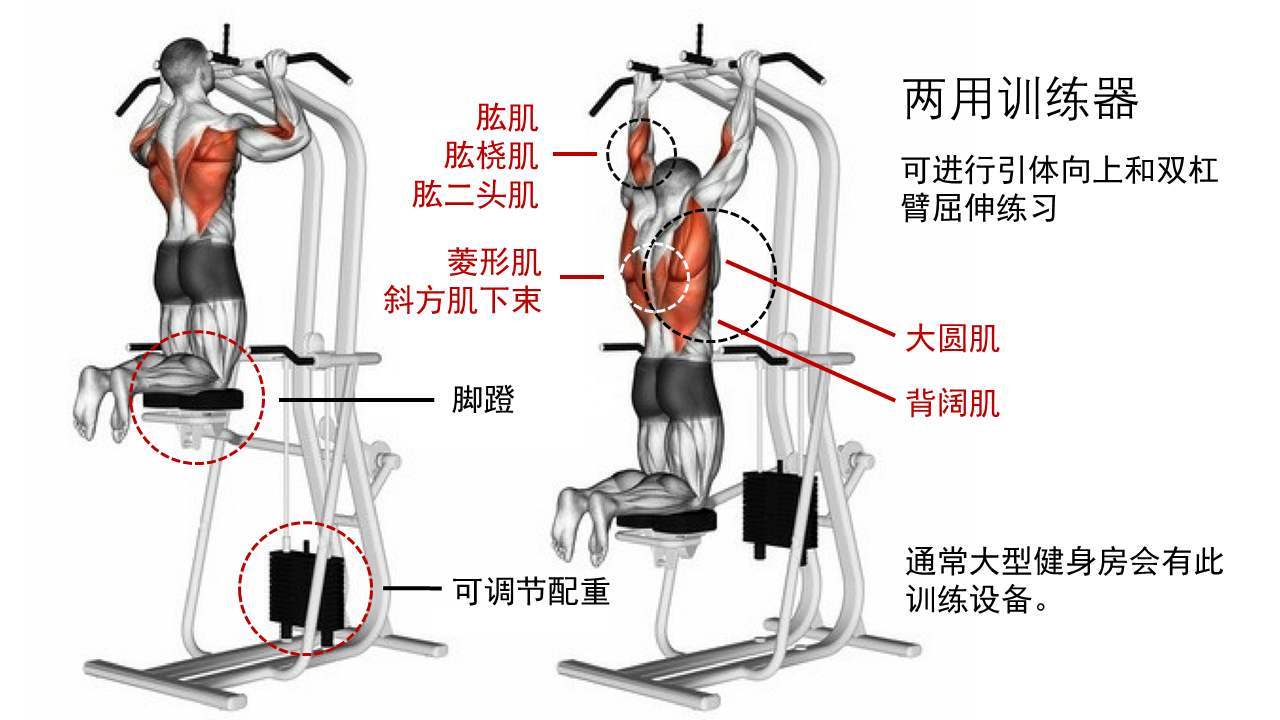 正手引体向上好还是反手引体向上好