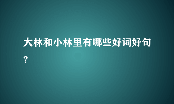 大林和小林里有哪些好词好句?