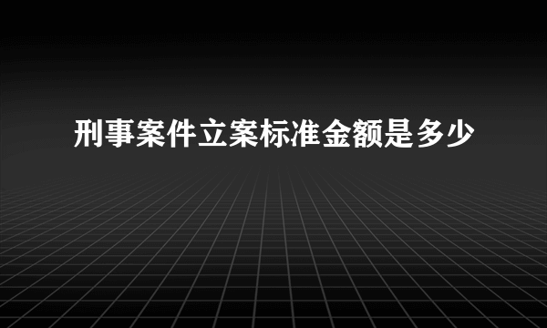 刑事案件立案标准金额是多少