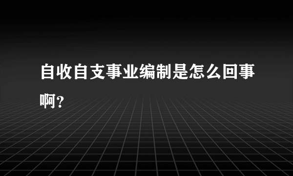 自收自支事业编制是怎么回事啊？