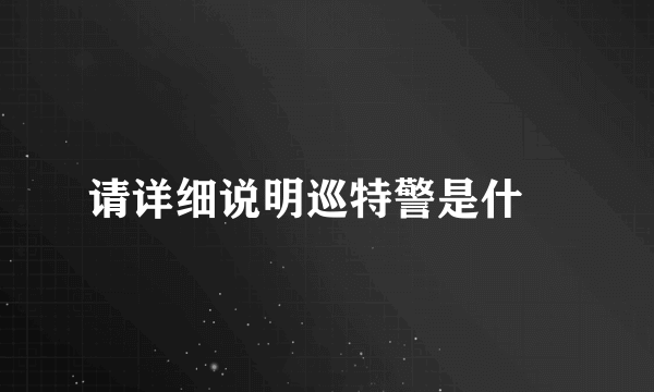 请详细说明巡特警是什麼