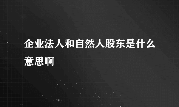 企业法人和自然人股东是什么意思啊