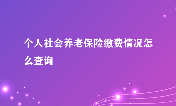 个人社会养老保险缴费情况怎么查询