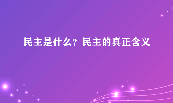 民主是什么？民主的真正含义