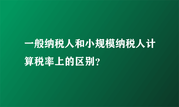 一般纳税人和小规模纳税人计算税率上的区别？