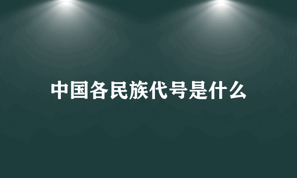 中国各民族代号是什么