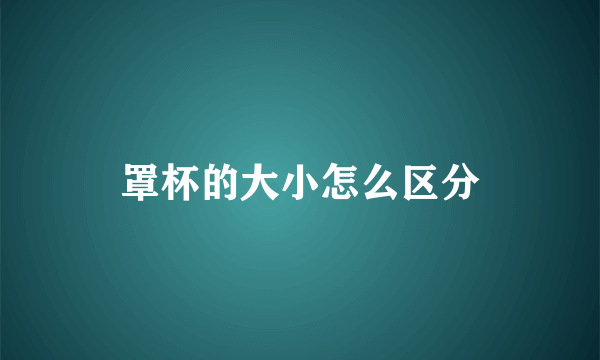 罩杯的大小怎么区分