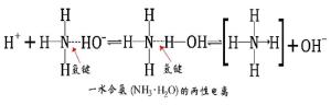 一水合氨是“离子化合物”还是“共价化合物”？