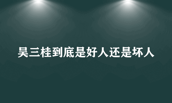 吴三桂到底是好人还是坏人