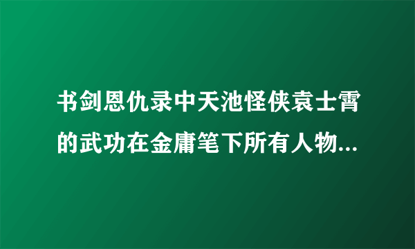 书剑恩仇录中天池怪侠袁士霄的武功在金庸笔下所有人物中能排第几？