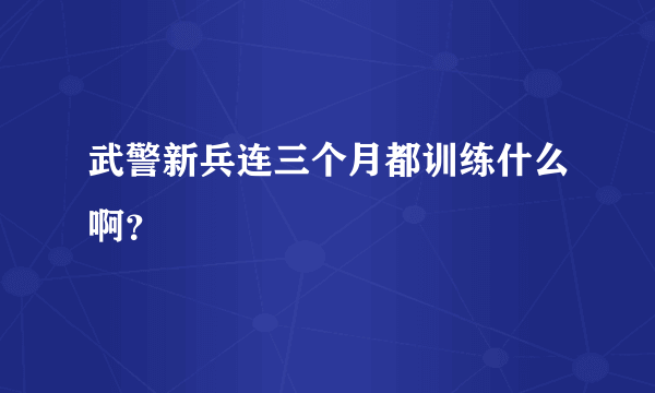 武警新兵连三个月都训练什么啊？