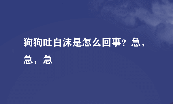 狗狗吐白沫是怎么回事？急，急，急