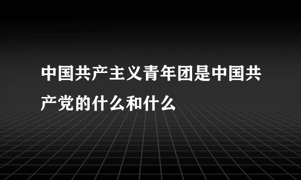 中国共产主义青年团是中国共产党的什么和什么