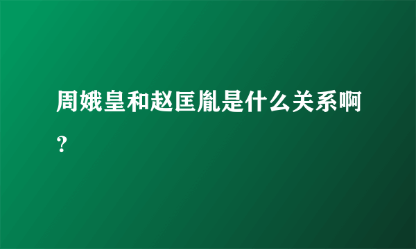 周娥皇和赵匡胤是什么关系啊？