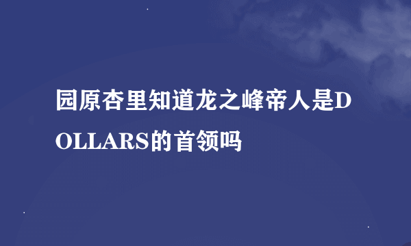 园原杏里知道龙之峰帝人是DOLLARS的首领吗