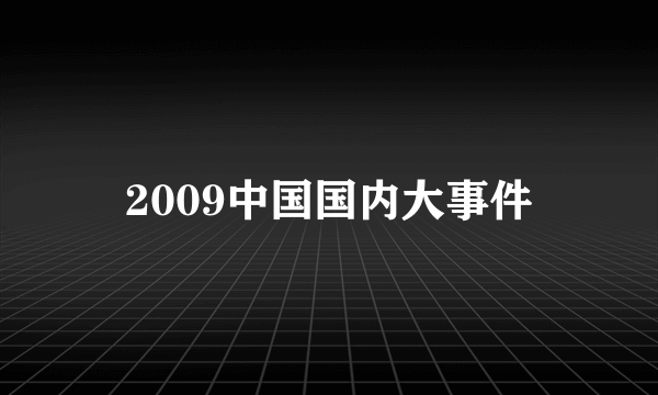 2009中国国内大事件