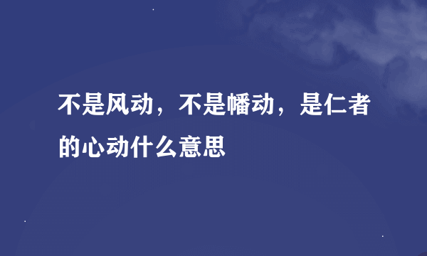 不是风动，不是幡动，是仁者的心动什么意思