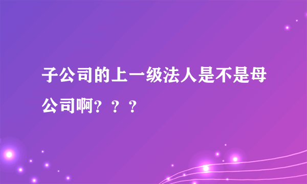 子公司的上一级法人是不是母公司啊？？？