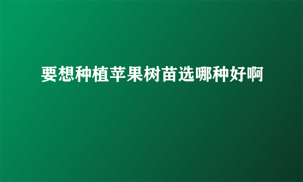 要想种植苹果树苗选哪种好啊