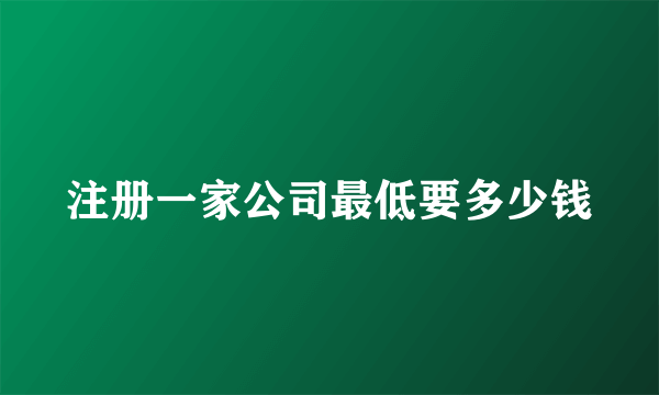 注册一家公司最低要多少钱