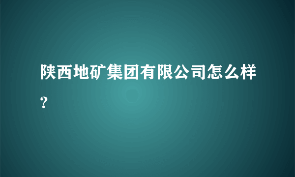 陕西地矿集团有限公司怎么样？