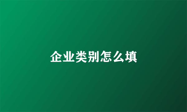 企业类别怎么填